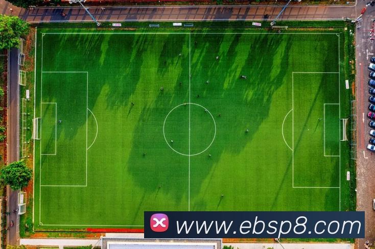 易倍体育平台生态图